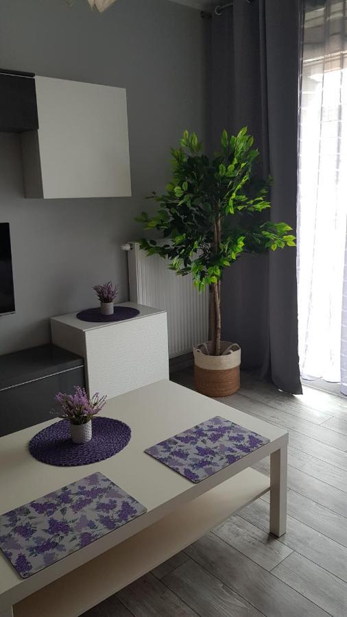 Boznicza Old Town Lux Apartment, Self Check-In 24H, Free Parking Poznań Esterno foto