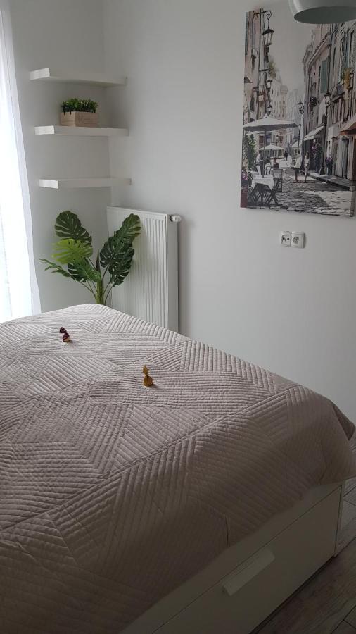 Boznicza Old Town Lux Apartment, Self Check-In 24H, Free Parking Poznań Esterno foto